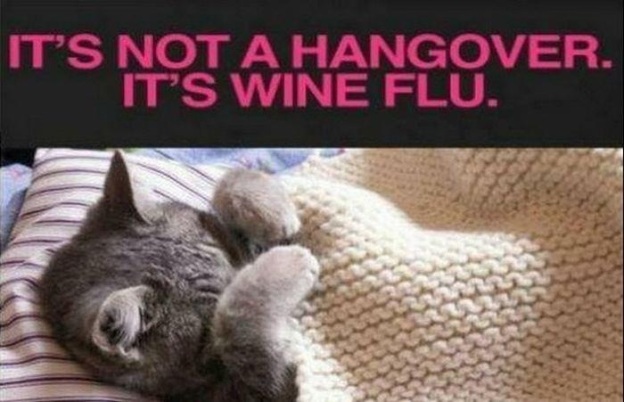 Wine Flu? Far worse than Man Flu