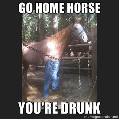go home you're drunk horse meme